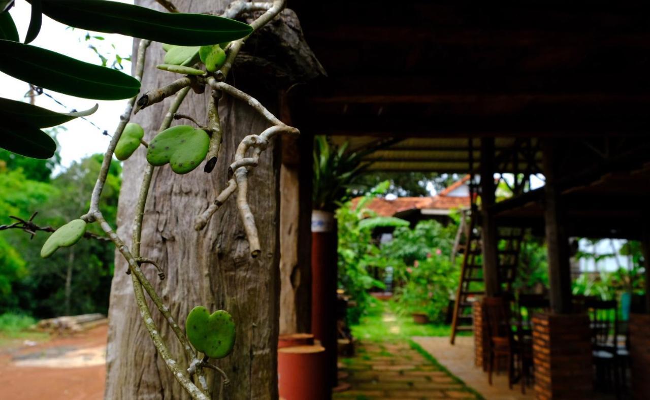 Plei Homestay & Cafe Pleiku Εξωτερικό φωτογραφία