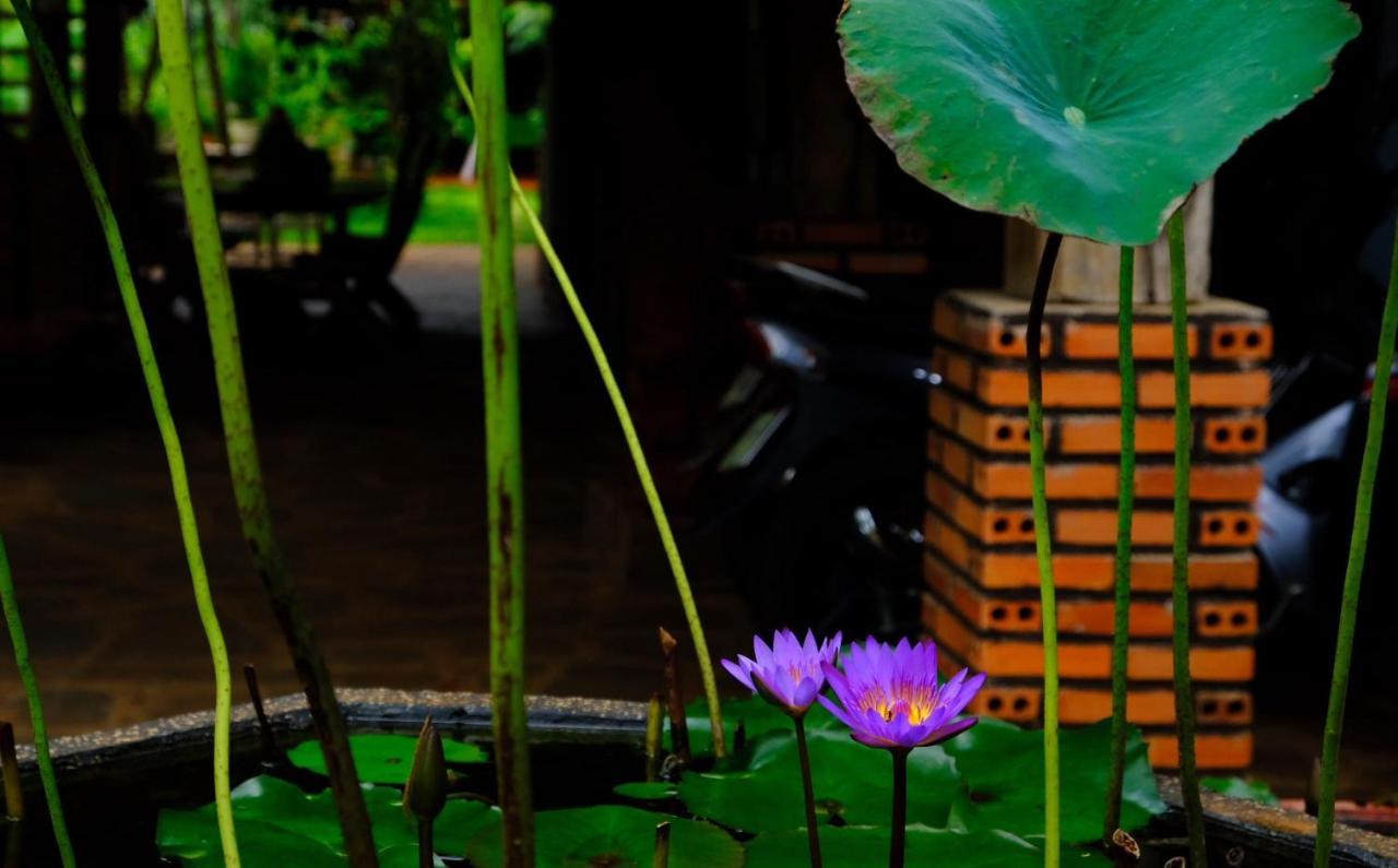 Plei Homestay & Cafe Pleiku Εξωτερικό φωτογραφία